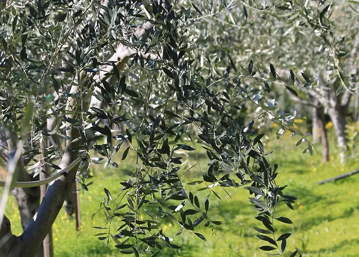 בית נופש Vento Largo, Casa Marina ונטימיגליה