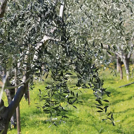 Дом отдыха Vento Largo, Casa Marina Вентимилья